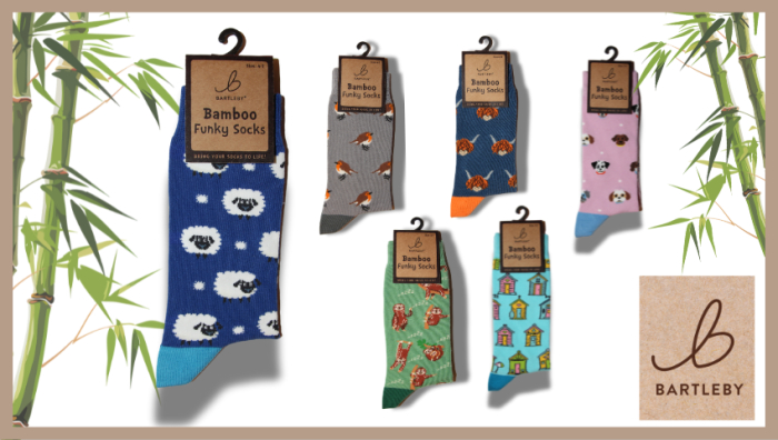 Ladies Bamboo Socks 