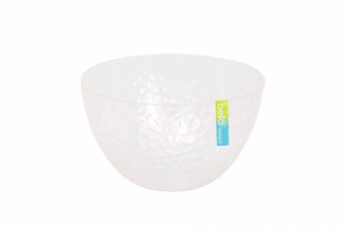 Clear Picnic Bowl