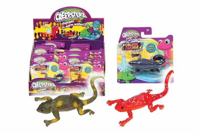 Colour Changing Lizard - In Display