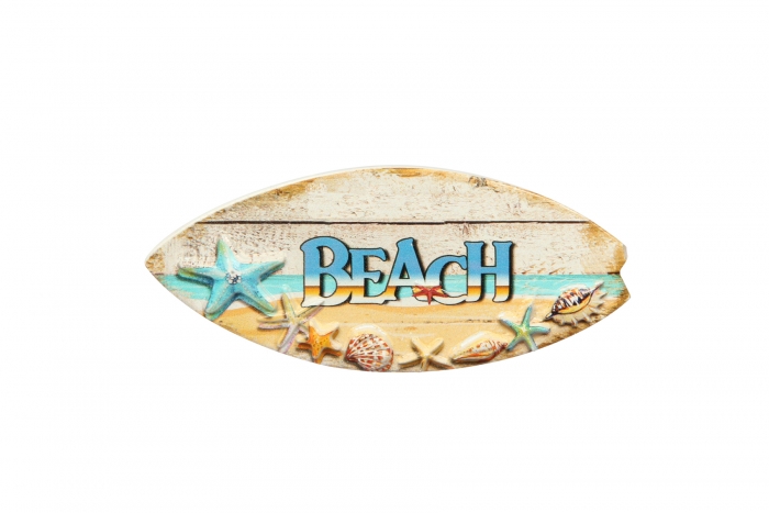 Surfboard & Shells Magnet