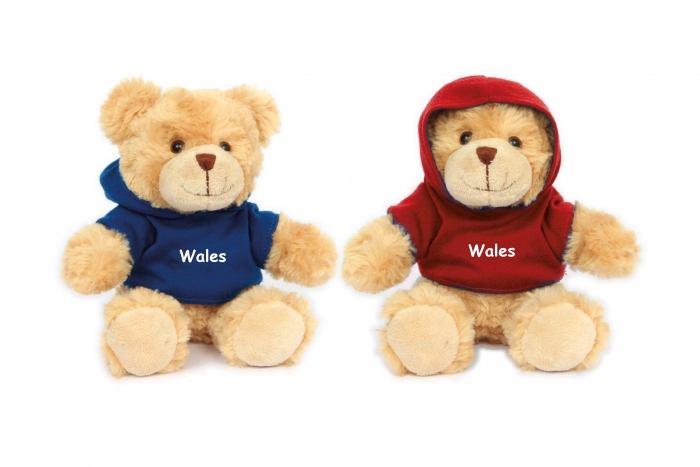 Soft Teddy With Hoodie - Wales