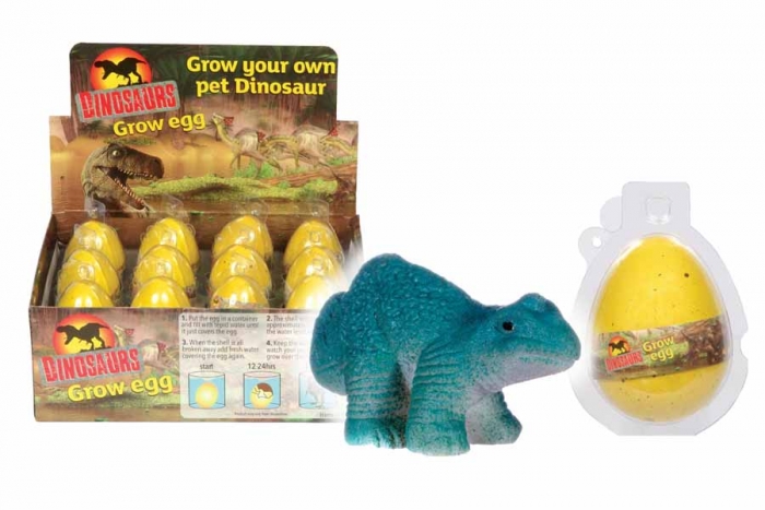 Dinosaur Growing Egg - In Display