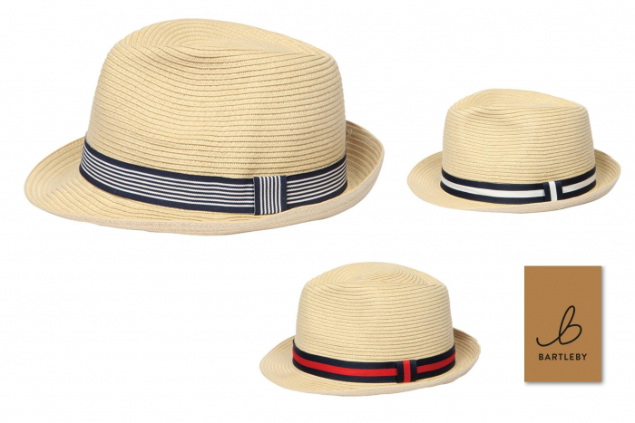 Mens Trilby Hat - Assorted