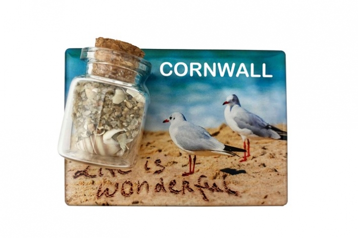 Seagulls & Bottle Magnet - Cornwall