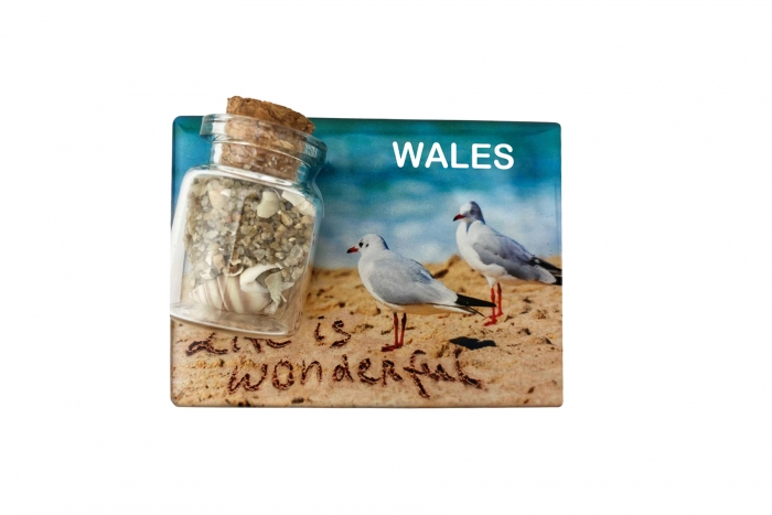 Seagulls & Bottle Magnet - Wales