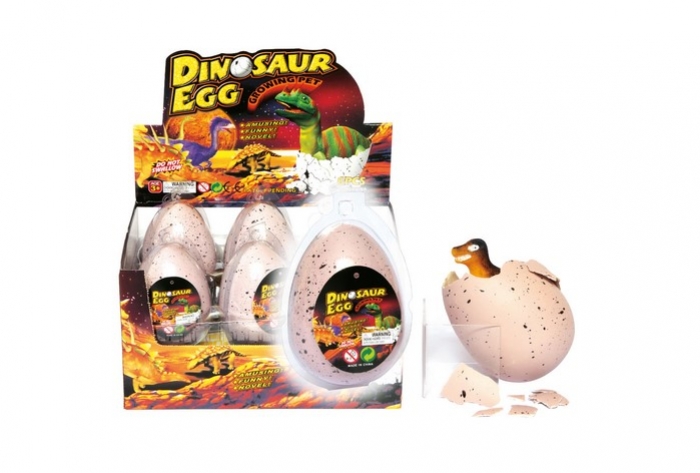 Giant Hatching Dinosaur Egg - In Display