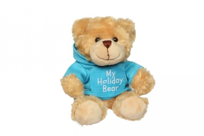 Soft Teddy & Hoodie - My Holiday Bear