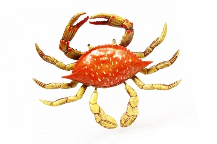 Giant Springy Leg Crab Magnet 