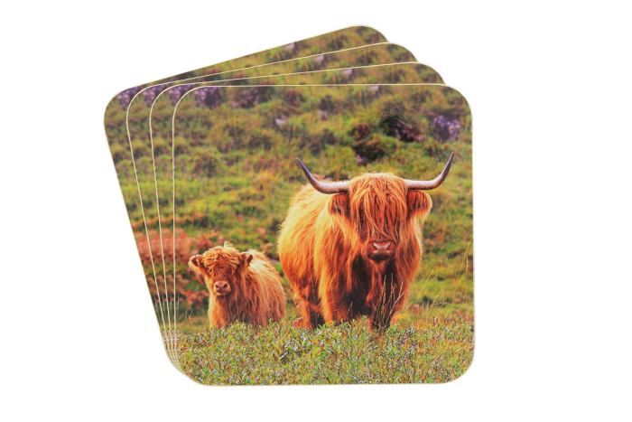 Highland Cow Coaster