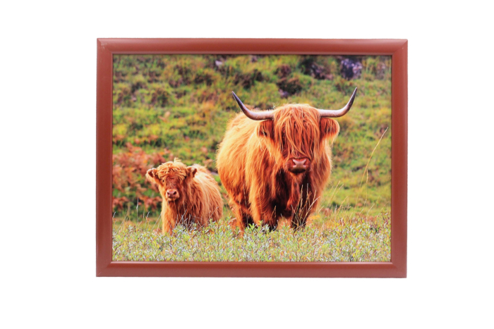 Highland Cow Lap Tray