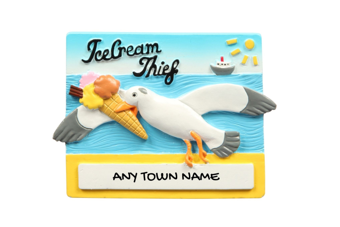 Ice Cream Thief Magnet - Town Named