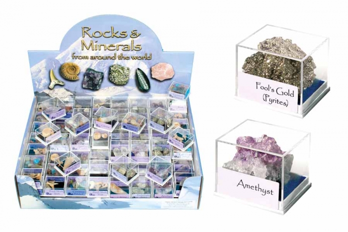 Rocks & Minerals in Case