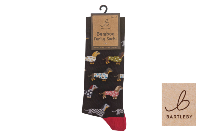 Ladies Funky Bamboo Socks - Trendy Dachshunds