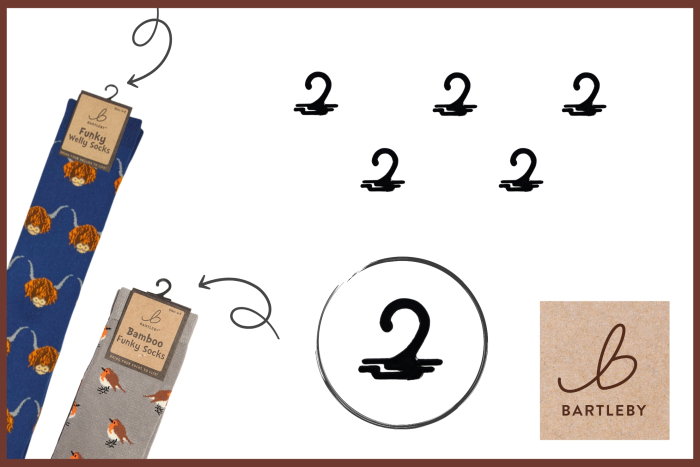 Plastic Hooks - Pack of 5 
