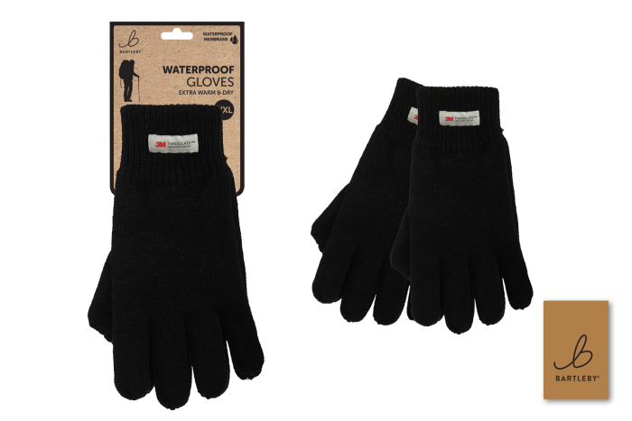 Mens Waterproof Gloves
