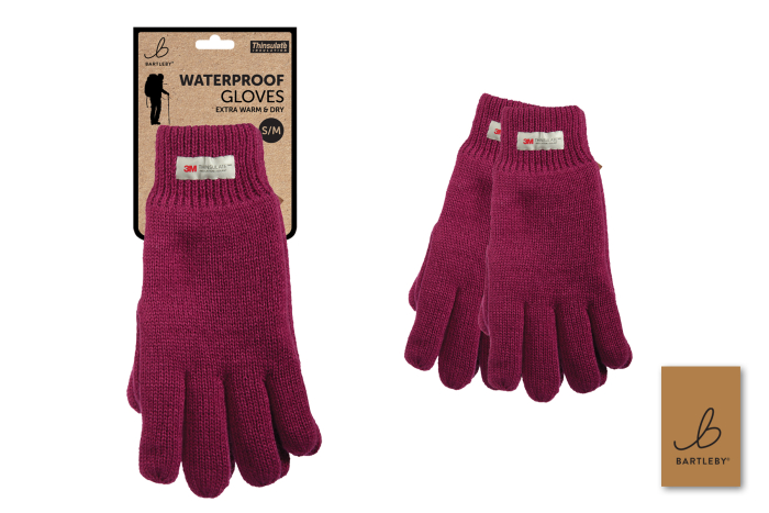 Ladies Waterproof Gloves, Thinsulate