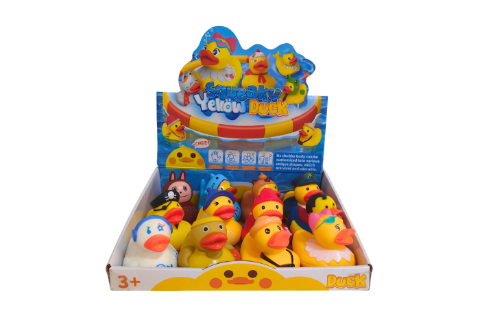 Funky Rubber Ducks, In Display
