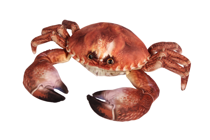 Small Soft Crab, Life-like Design - Eco Alive™