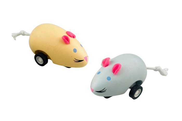 Wooden Mouse - Pull Back, In Display
