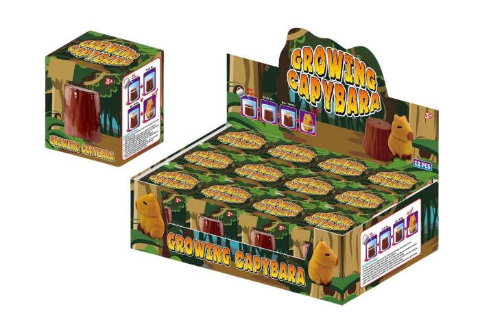 Growing Capybara, Boxed - In Display