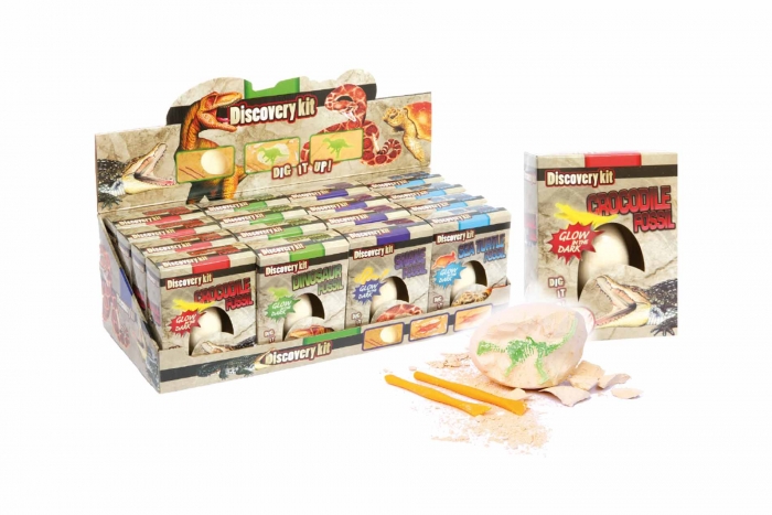 Fossil Dig Out Set - Egg