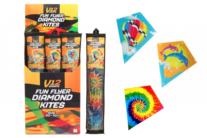 V12 Picture Kite