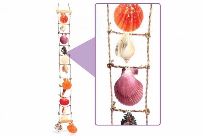 Sea Shells Ladder