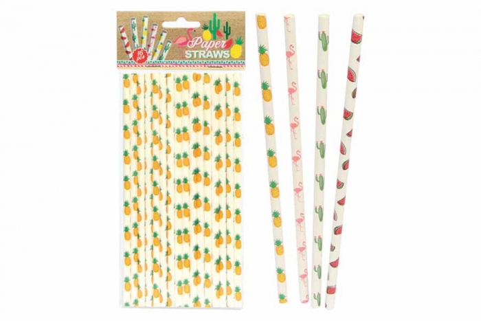 Paper Straws - 16 Pack