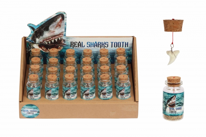 Sharks Tooth In Bottle