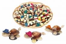 Shell Turtle Magnet - In Display