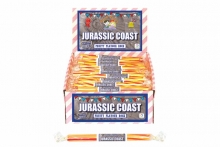 Rock Sticks - Jurassic Coast